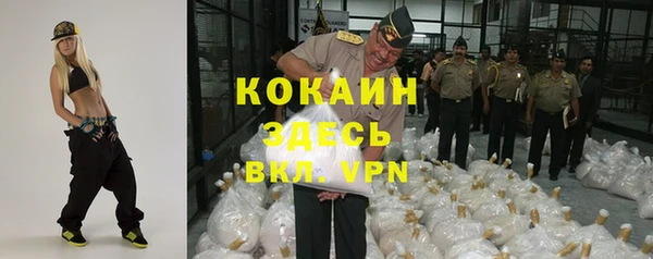 хмурый Алзамай