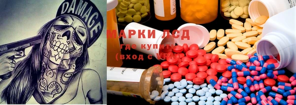 хмурый Алзамай