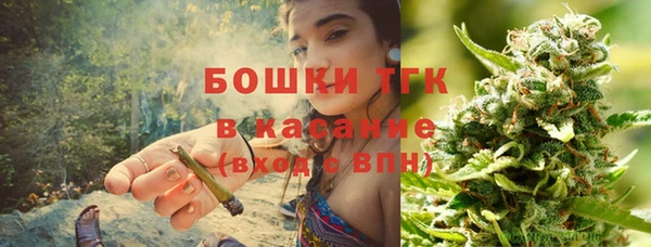 хмурый Алзамай