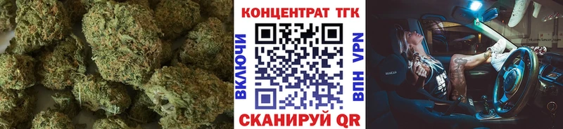 продажа наркотиков  Новодвинск  площадка как зайти  ТГК жижа 