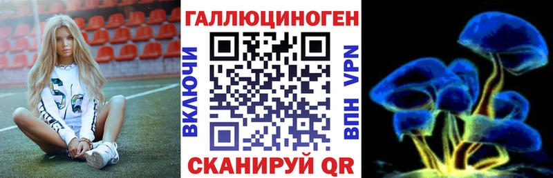 shop формула  Новодвинск  Псилоцибиновые грибы мухоморы 