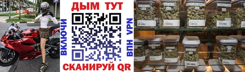 Марихуана Amnesia  Новодвинск 