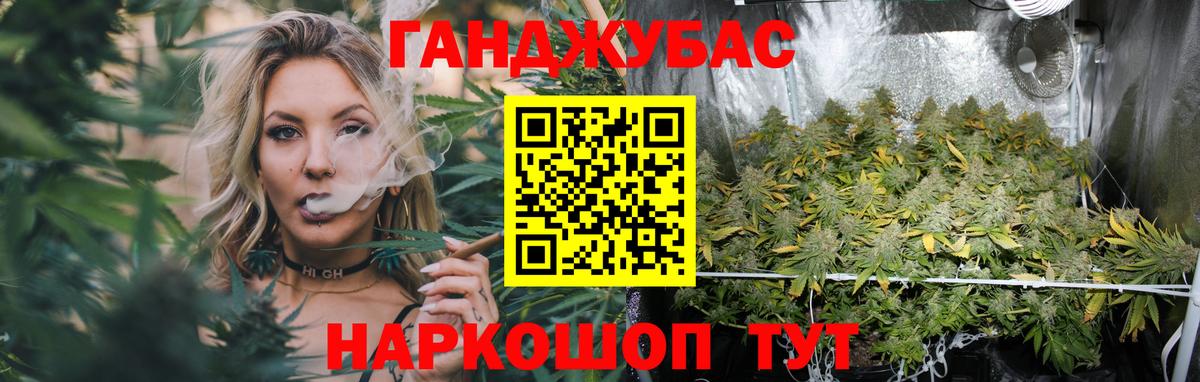 Конопля сатива  Каннабис планчик  Марихуана Ganja  Вход с VPN  Марихуана SATIVA & INDICA  Новодвинск 